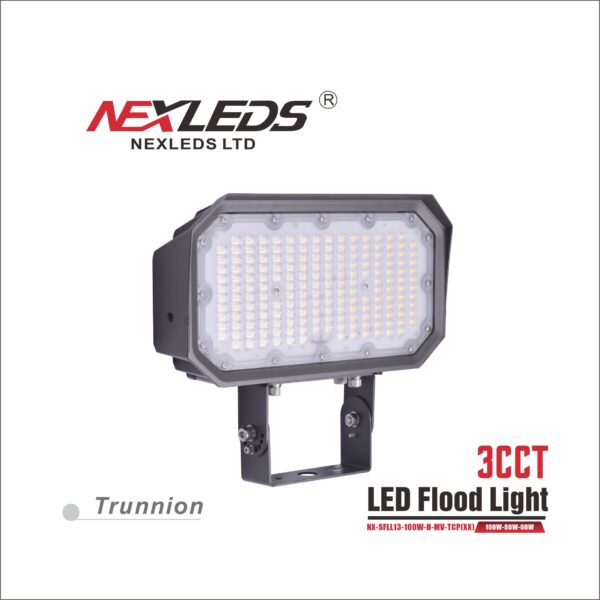 NEXLEDS Flood Light