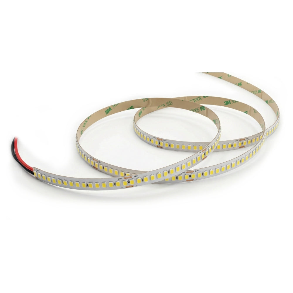 Canolight SMD Strip Light High lm 12mm PCB width 240 LED/m 21.6W/m 2592lm/m 5m/Roll IP20 3000K - CL-STHL-SMD-240-21.6-2420-3K