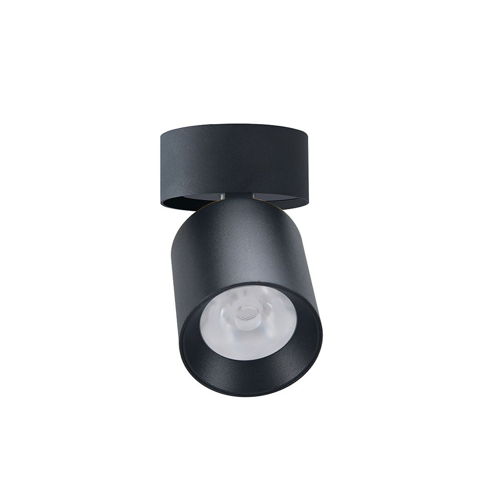 Canolight Surface-mount LED Round Rotatable Downlights - CL-DL4-RS-24W-36D-3CCT-BL
