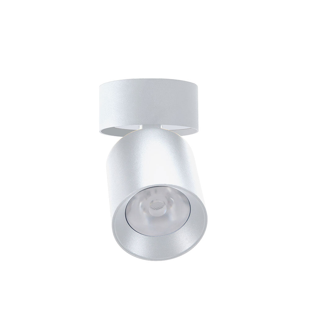 Canolight Surface-mount LED Round Rotatable Downlights - CL-DL4-RS-24W-36D-3CCT-WH