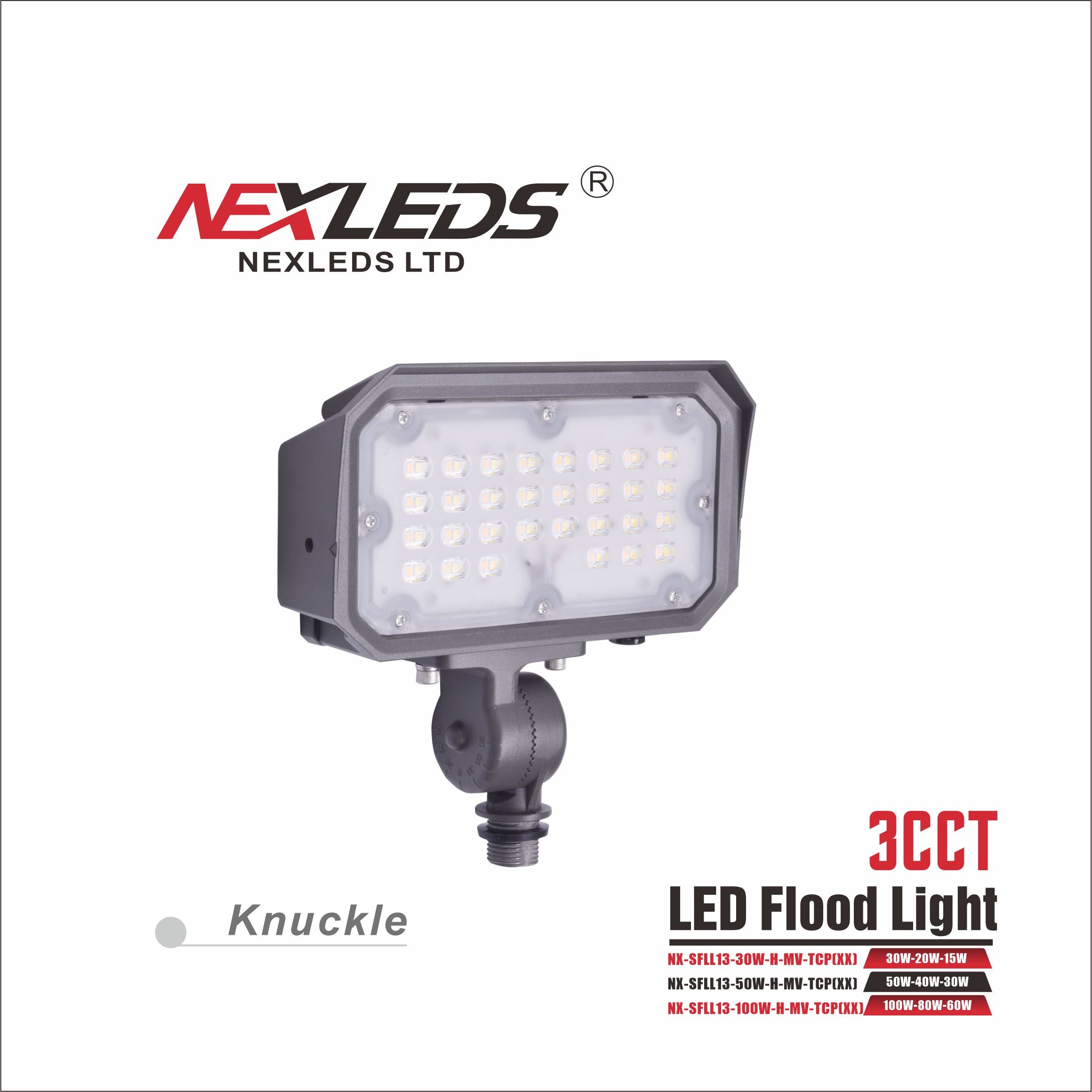 NEXLEDS Flood Light