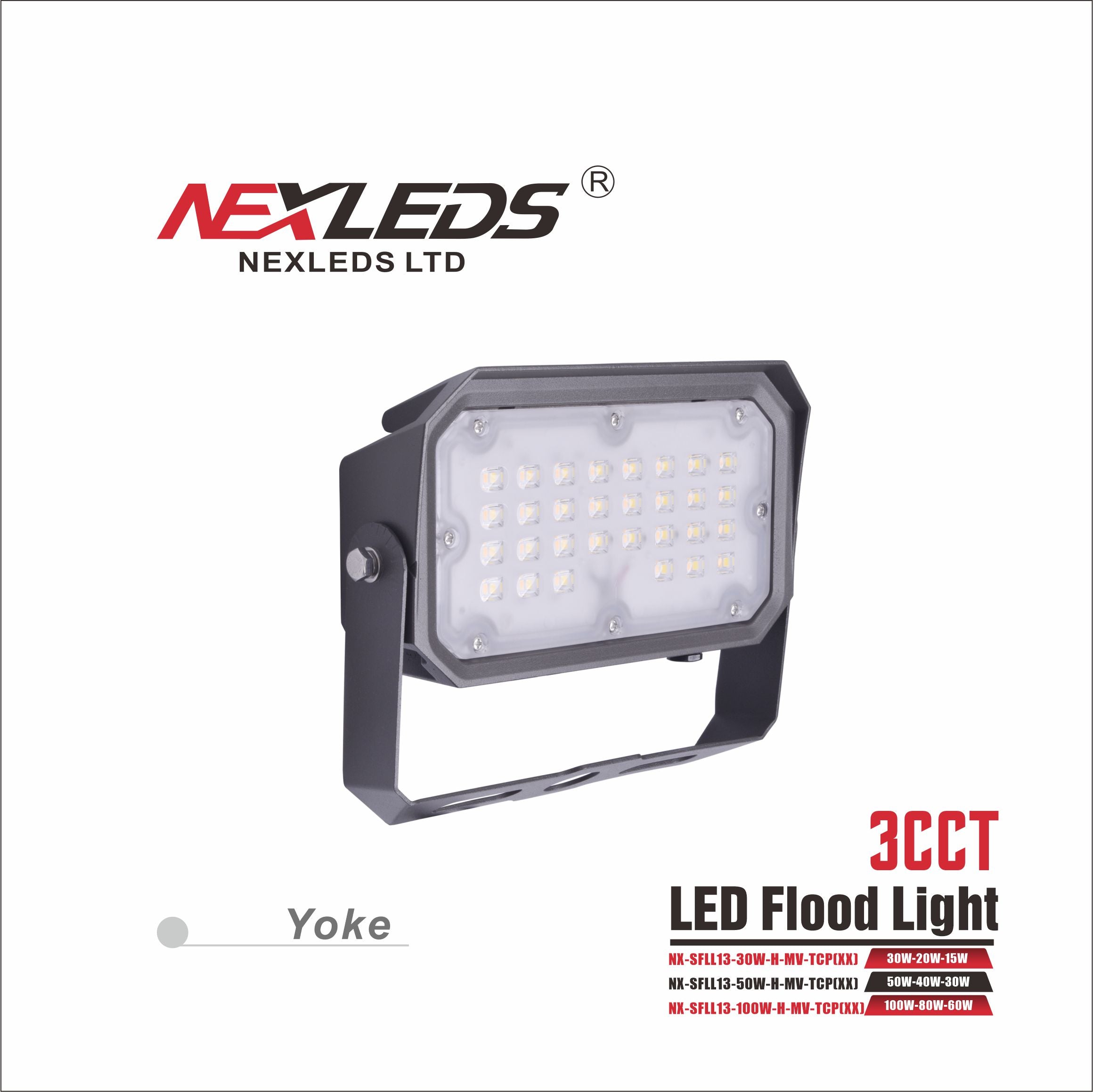 NEXLEDS Flood Light